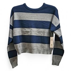 Eco-Friendly No Boundaries Striped Navy and Gray Cropped Sweater